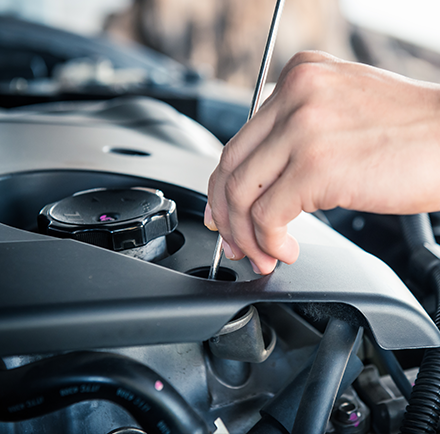 Service & MOT